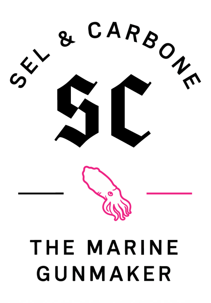 Logo sel et carbone